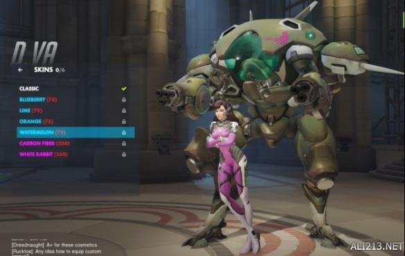 《守望先鋒》D.VA皮膚介紹