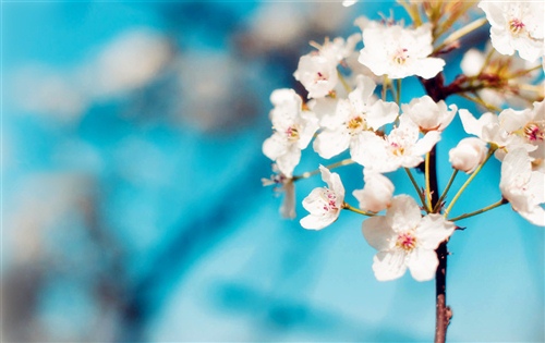 斥責的反義詞是什么 斥責的反義詞及介紹