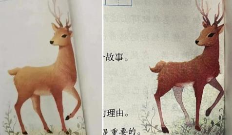 小學生給課本挑錯新教材真的改了,真實的一課！