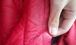 衣服發霉用什么洗掉霉斑 4種方法去除衣服發霉霉點