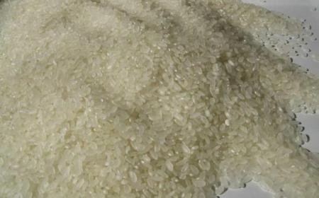 大米對人體的好處  白米飯有哪些營養