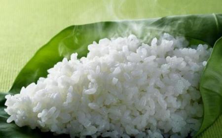 小米窩料好還是大米的好 (窩料用小米好還是大米好)