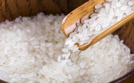 炒大米的功效和副作用 好大夫