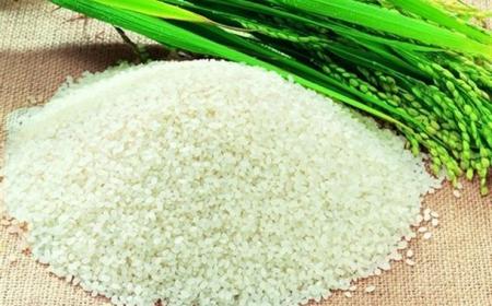 大米對人體有什么好處和壞處