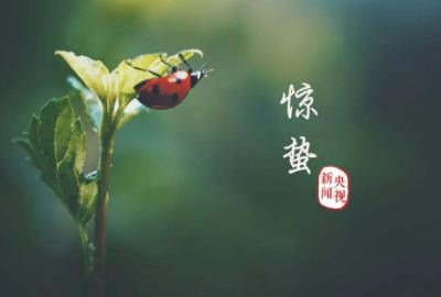 驚蟄節(jié)氣要注意什么？驚蟄時(shí)節(jié)養(yǎng)生應(yīng)注意什么？