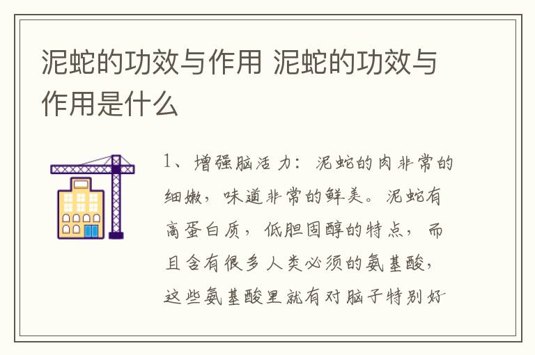 泥蛇的功效與作用 泥蛇的功效與作用是什么