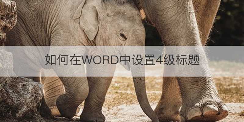 如何在WORD中設置4級標題