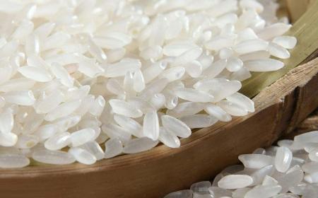 經常吃大米有沒有對胃不好(吃大米會不會對胃不好)