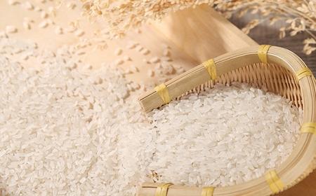 哪種大米煮飯特別香特別好吃