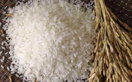 吃了不好的大米會有什么反應(經常吃大米會有不良反應嗎)