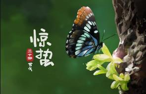 月夜反映的節(jié)氣是指的什么時候(驚蟄節(jié)氣及介紹)
