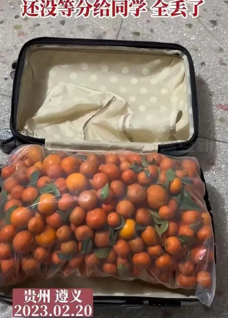 比丟錢還難受！女生帶50斤砂糖橘返校結果全丟了