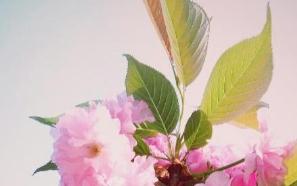 抖音金句勵志，抖音勵志金句（精選）