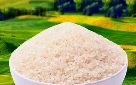 大米哪個牌子的比較好吃又便宜