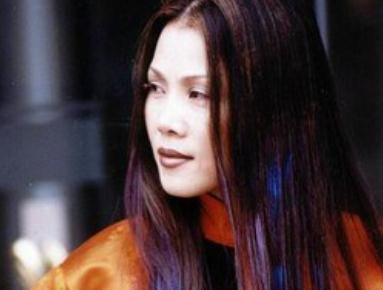 歌手田震個人資料簡介  田震簡介及老公介紹資料