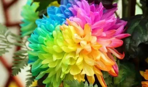 久久是什么意思網絡?(久久久久久久是什么意思網絡)