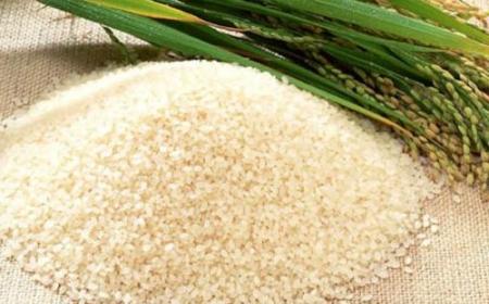 大米提供的主要營養素是油脂