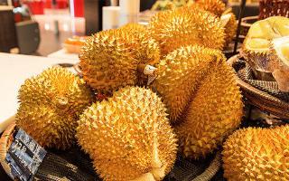 榴蓮分為哪幾種  榴蓮有哪些分類(lèi)介紹