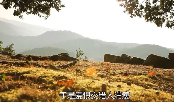 于是愛恨交錯人消瘦是什么歌 于是愛恨交錯人消瘦是什么歌曲