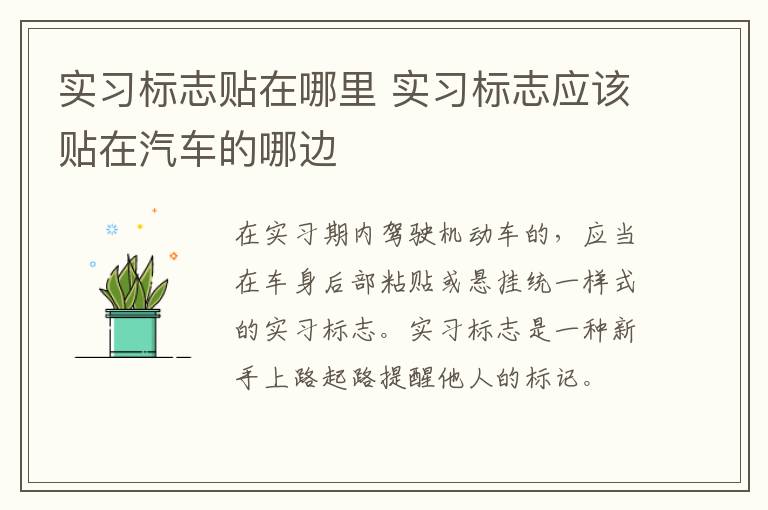 實習標志貼在哪里 實習標志應(yīng)該貼在汽車的哪邊