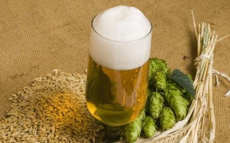 如何多喝啤酒不吐  怎么多喝啤酒不會吐