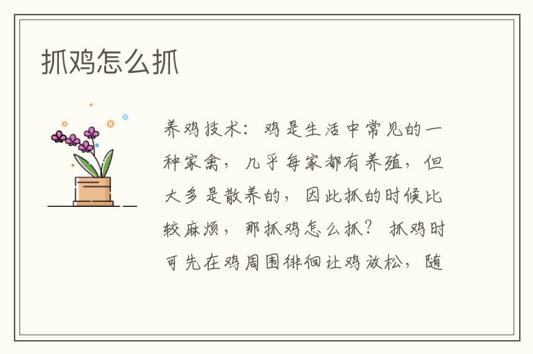 抓雞怎么抓 逮雞怎么逮