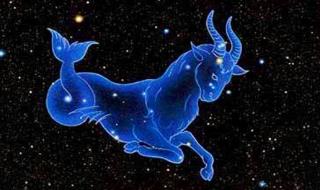 摩羯男真正喜歡一個人的樣子