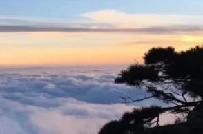 遠赴人間驚鴻宴是什么意思  遠赴人間驚鴻宴的意思介紹