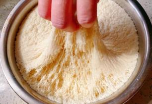 發(fā)面放白糖起什么作用（蒸制面食中為什么要添加糖）