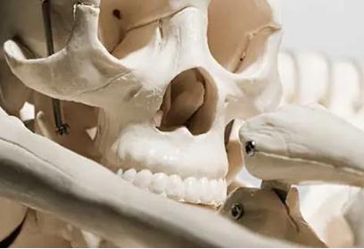 夢見骨骼夢見骨頭是什么意思,好不好,預示著什么