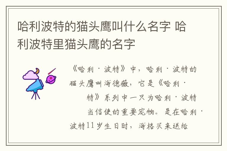 哈利波特的貓頭鷹叫什么名字 哈利波特里貓頭鷹的名字