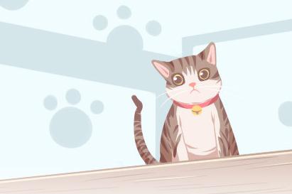 夢見小貓是什么意思,好不好,代表什么