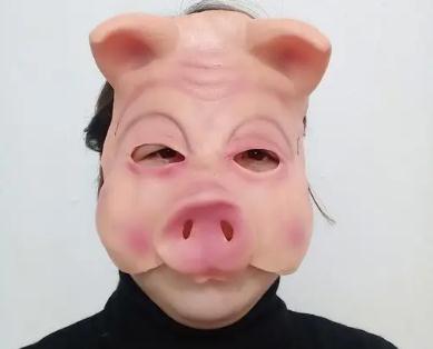 夢見豬頭是什么意思,好不好,預示著什么