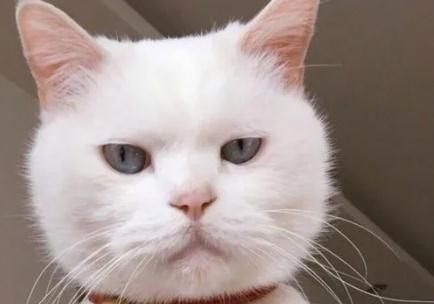 夢見臉是什么意思,好不好,預示著什么