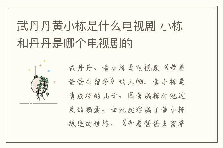 武丹丹黃小棟是什么電視劇 小棟和丹丹是哪個電視劇的