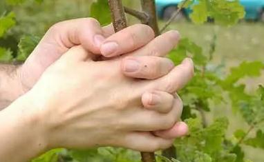 夢見手是什么意思,好不好,預示著什么