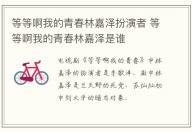 等等啊我的青春林嘉澤扮演者 等等啊我的青春林嘉澤是誰