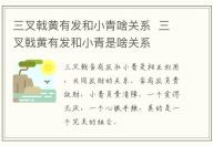 三叉戟黃有發(fā)和小青啥關系 三叉戟黃有發(fā)和小青是啥關系