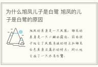 為什么旭鳳兒子是白鷺 旭鳳的兒子是白鷺的原因