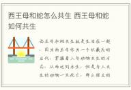 西王母和蛇怎么共生 西王母和蛇如何共生