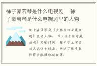 徐子豪若琴是什么電視劇 徐子豪若琴是什么電視劇里的人物