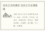 功夫之王的演員 功夫之王主演是誰