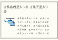 唐昊最后是多少級 唐昊天是多少級