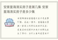 安家里海清買房子是第幾集 安家里海清買房子是多少集
