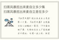 掃黑風(fēng)暴挖出來(lái)麥自立多少集 掃黑風(fēng)暴挖出來(lái)麥自立是在多少集