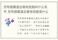 蘇有朋霸道總裁電視劇叫什么名字 蘇有朋霸道總裁電視劇是什么
