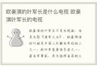 歐豪演的葉軍長是什么電視 歐豪演葉軍長的電視