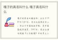 嘎子的真名叫什么 嘎子真名叫什么