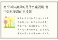 有個叫林美鳳的是什么電視劇 有個叫林美鳳的電視劇