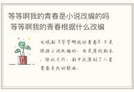 等等啊我的青春是小說改編的嗎 等等啊我的青春根據什么改編